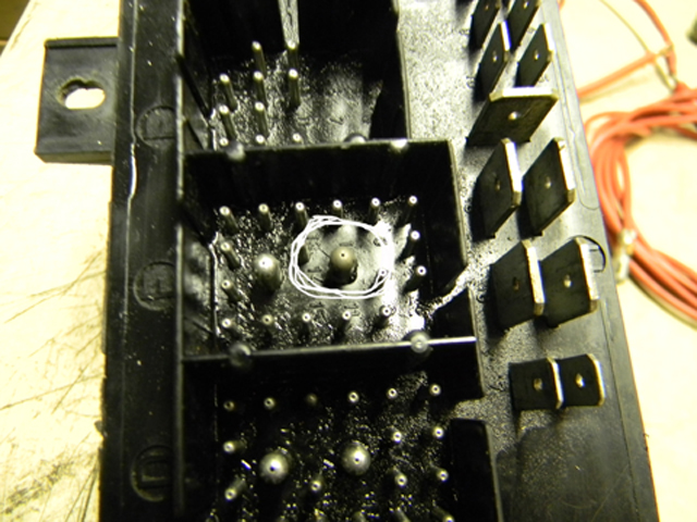 DSCN0478.JPG