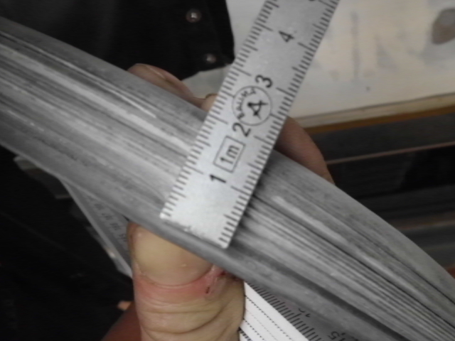 DSCI0290.JPG