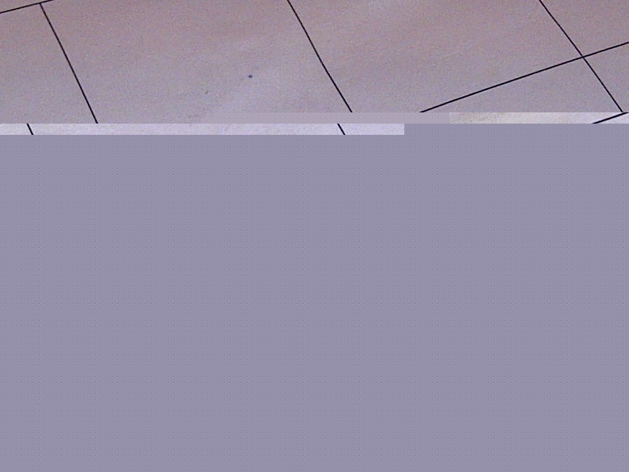 IMG-20140605-00886.jpg